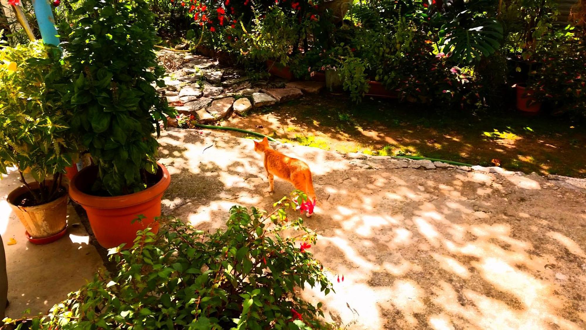 The Grandfather'S Room Himarë Exterior foto